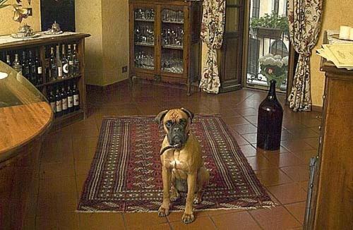 Cocconato Locanda Martelletti מראה חיצוני תמונה